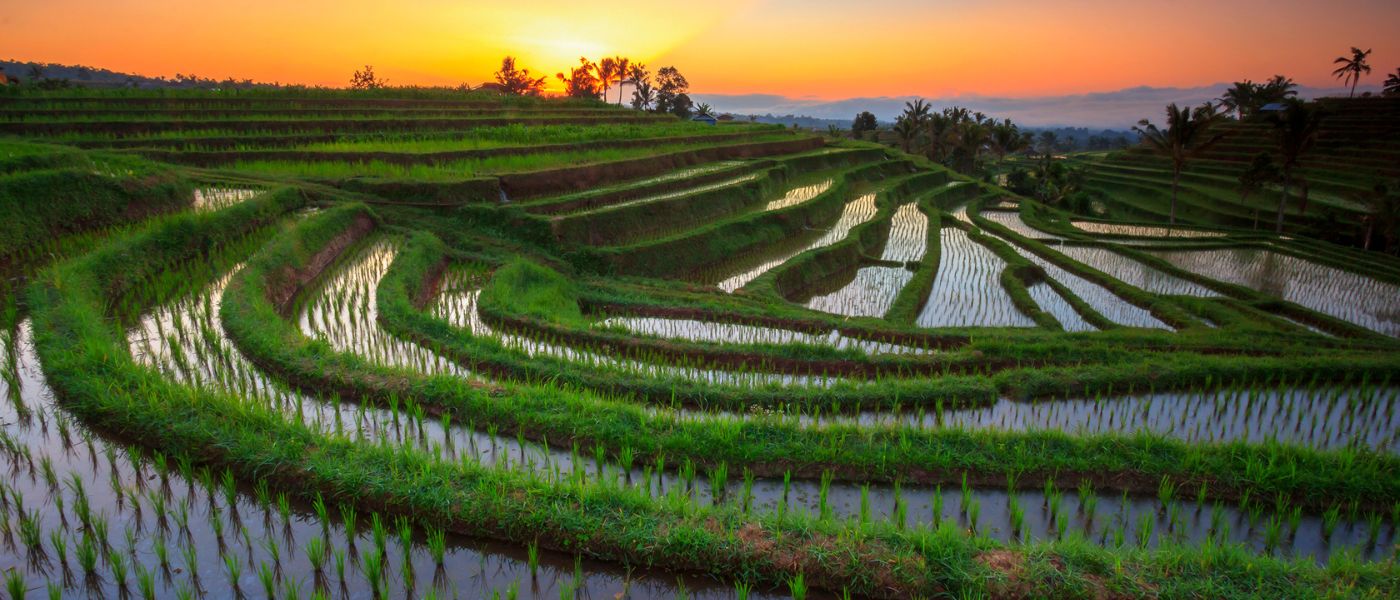 Unesco World Heritage Sites of Bali