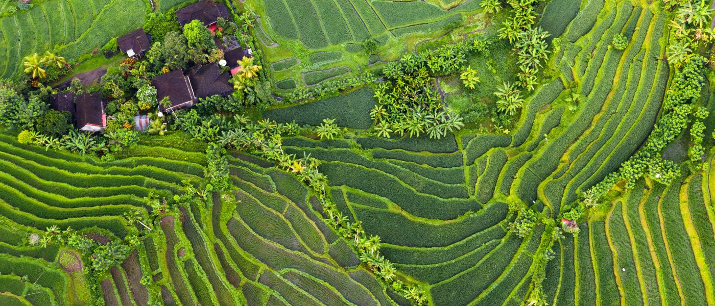 Unesco World Heritage Sites of Bali